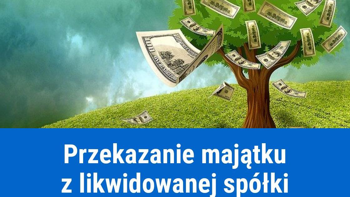 Likwidacja spółki, przekazanie majątku