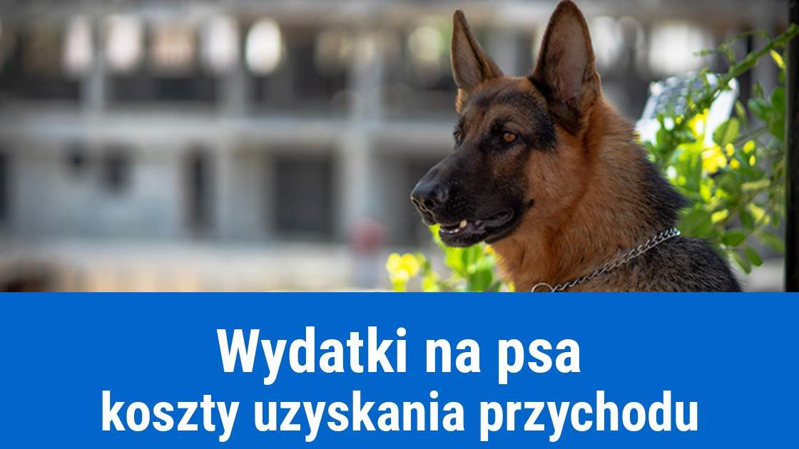 pies koszty firmy
