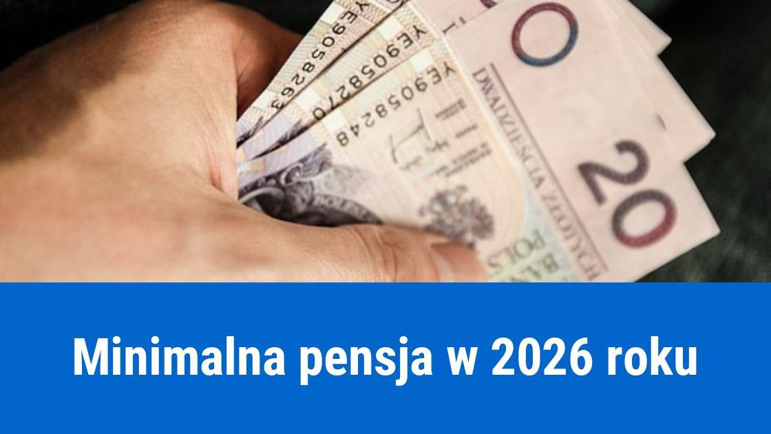placa minimalna 2026