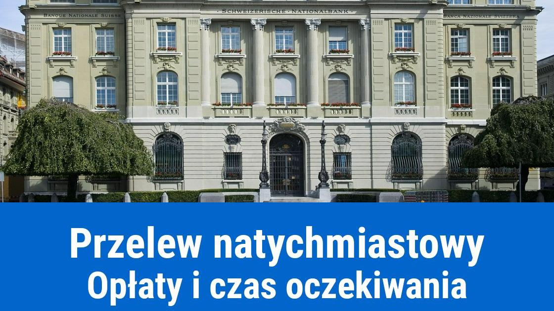 Przelew natychmiastowy: kiedy dojdzie i ile kosztuje?