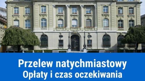 Przelew natychmiastowy: kiedy dojdzie i ile kosztuje?